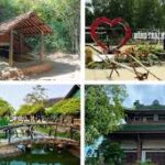 Images (1)